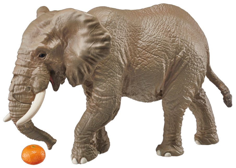 Ania AS-02 African Elephant (with Orange)