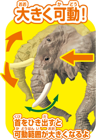 Ania AS-02 African Elephant (with Orange)