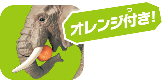 Ania AS-02 African Elephant (with Orange)