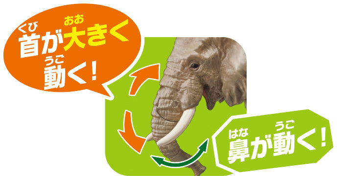 Ania AS-02 African Elephant (with Orange)