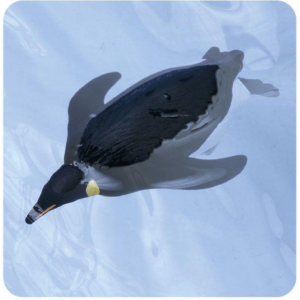 Ania AS-11 Emperor Penguin (Floatable ver.)
