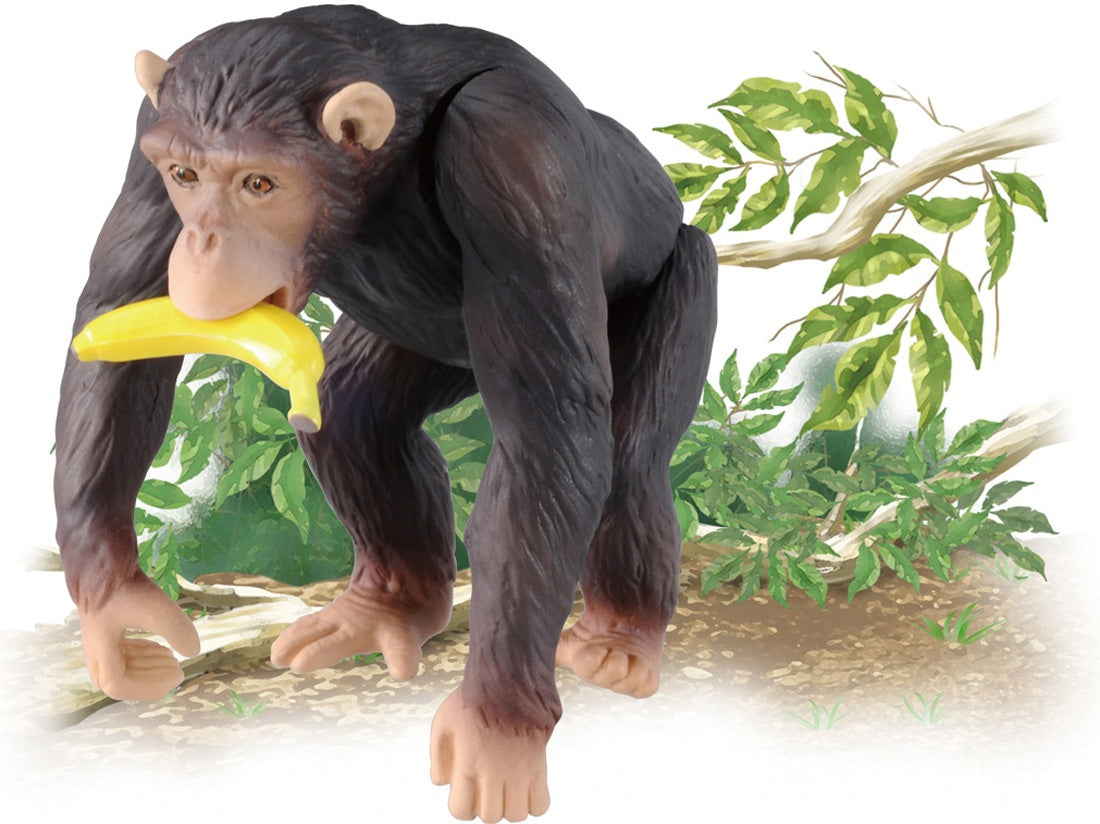 Ania AS-14 Chimpanzee (with Banana)
