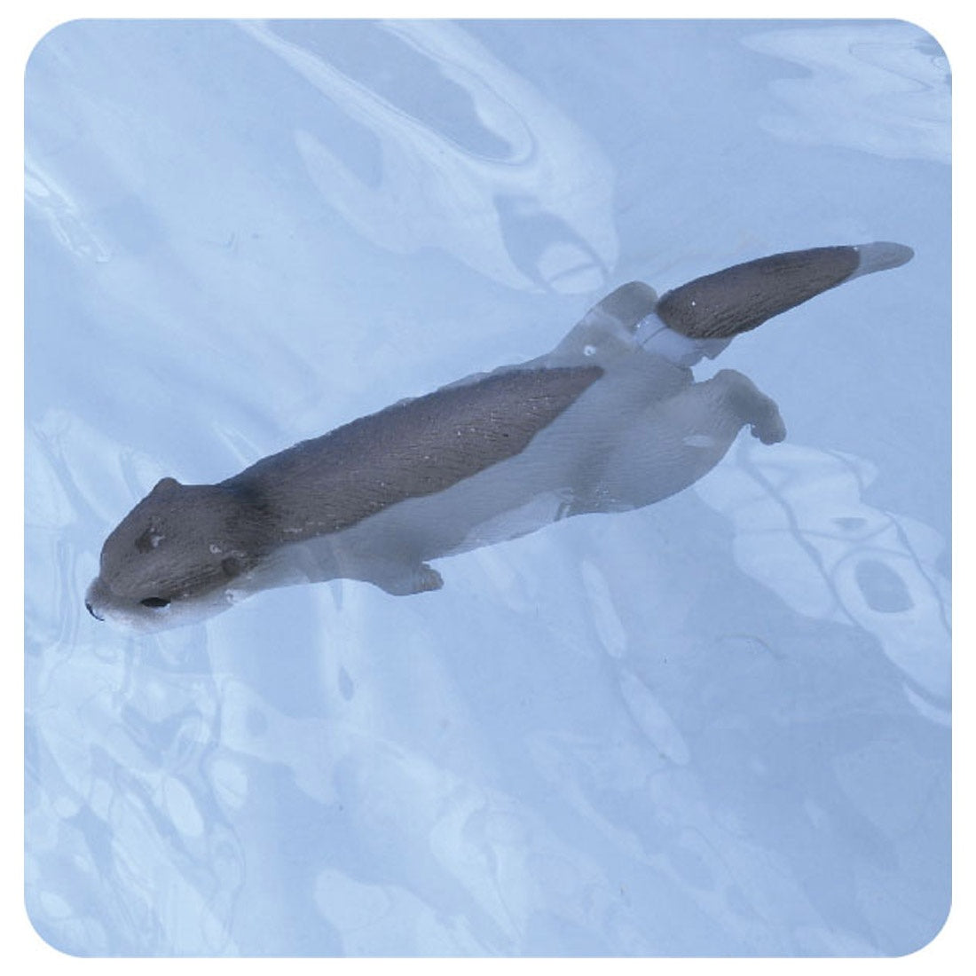 Ania AS-15 Eurasian Otter (Floatable ver.)