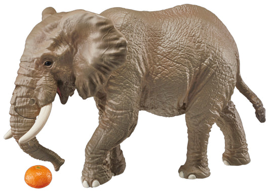 Ania AS-02 African Elephant (with Orange)