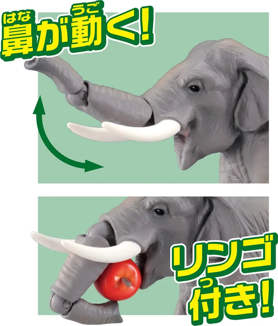 Ania AS-33 Asian Elephant