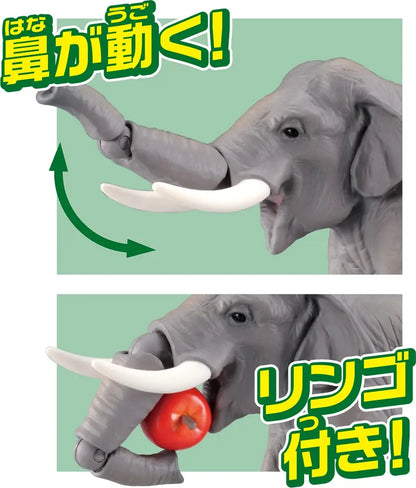 Ania AS-33 Asian Elephant