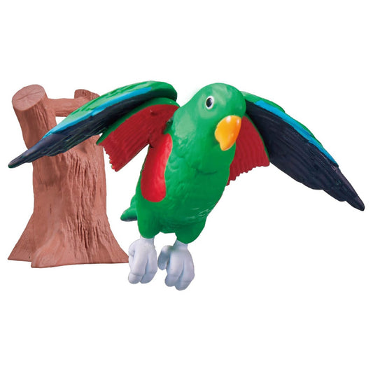 Ania Kingdom Eddie (Eclectus Parrot)