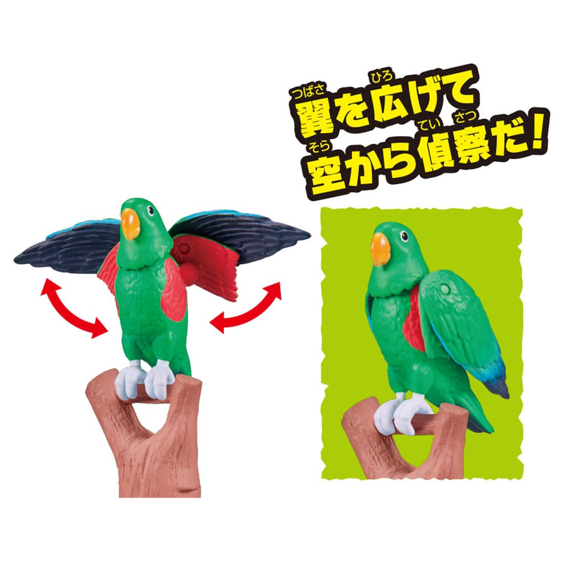 Ania Kingdom Eddie (Eclectus Parrot)